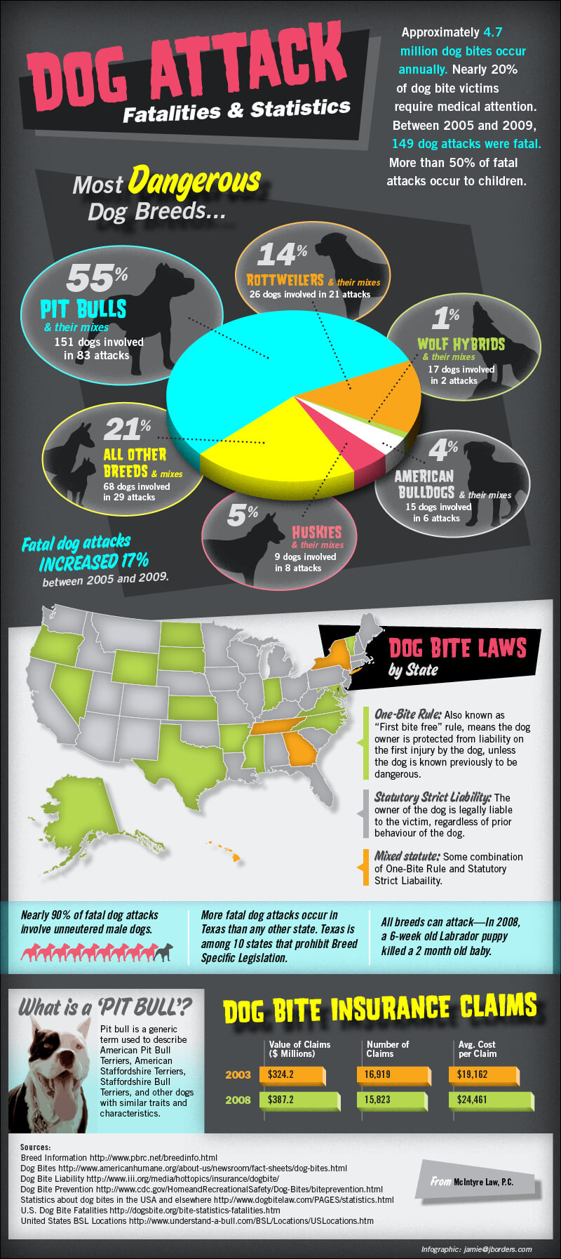 Dog Attack Statistics Infographic