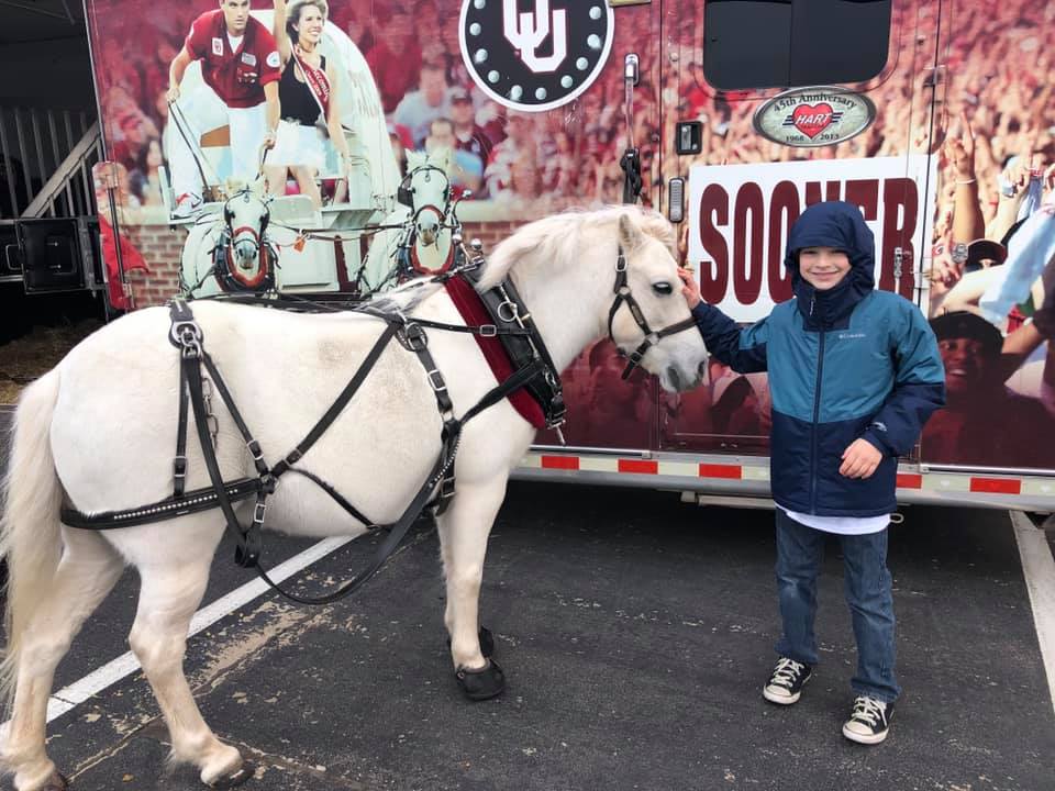 boomer sooner horse at 2019 turkey giveaway