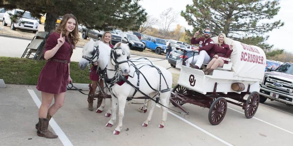 Boomer Sooner Horse